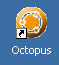 icon-octopus
